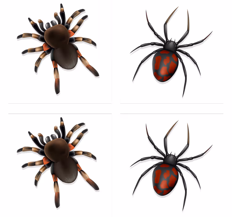 Kísérteties pók kollekció poháralátétek halloween - TenStickers
