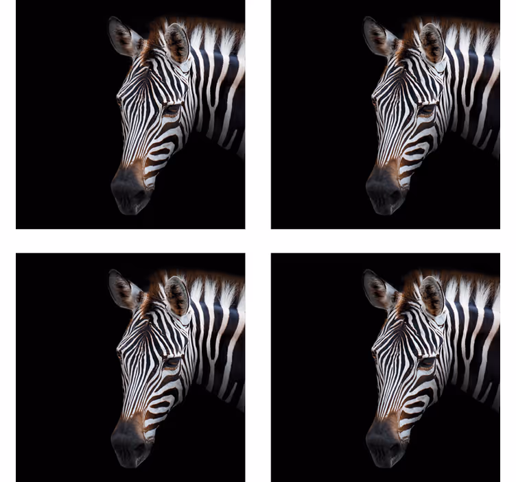 Modern poháralátétek zebra fej illusztrációval - TenStickers