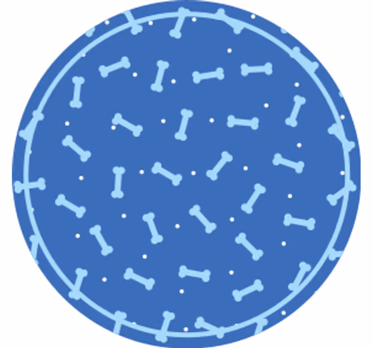 Csontmintás kör poháralátétek - TenStickers