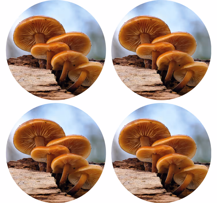 Modern poháralátétek gombakluster elrendezésben - TenStickers