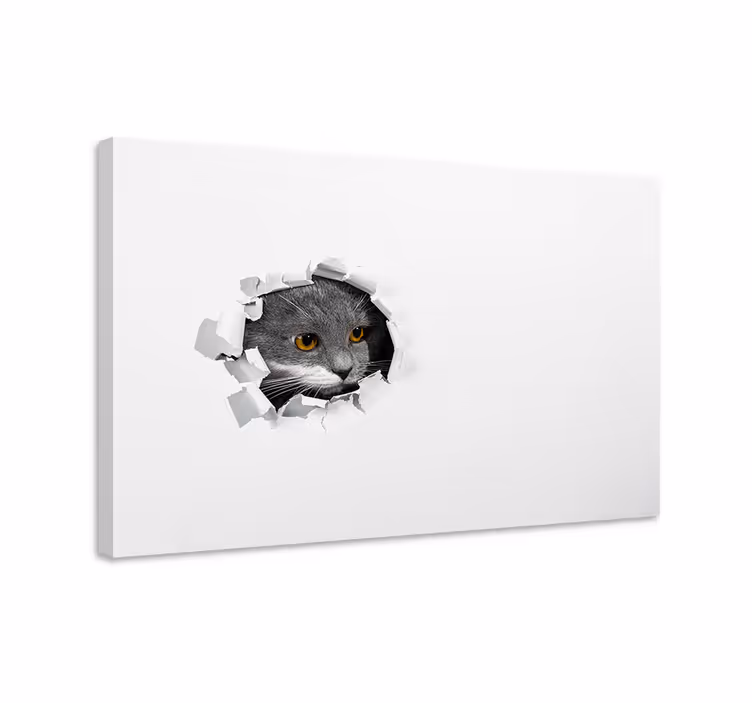 Cuki macskák vászon macskák - TenStickers