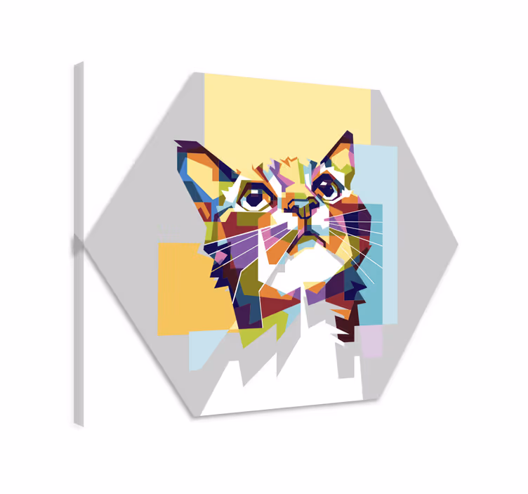 Színes macska remény vászon macskák - TenStickers