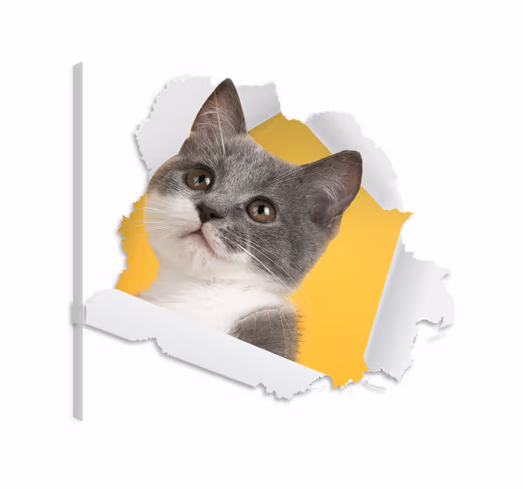 3d macska matrica vászon macskák - TenStickers