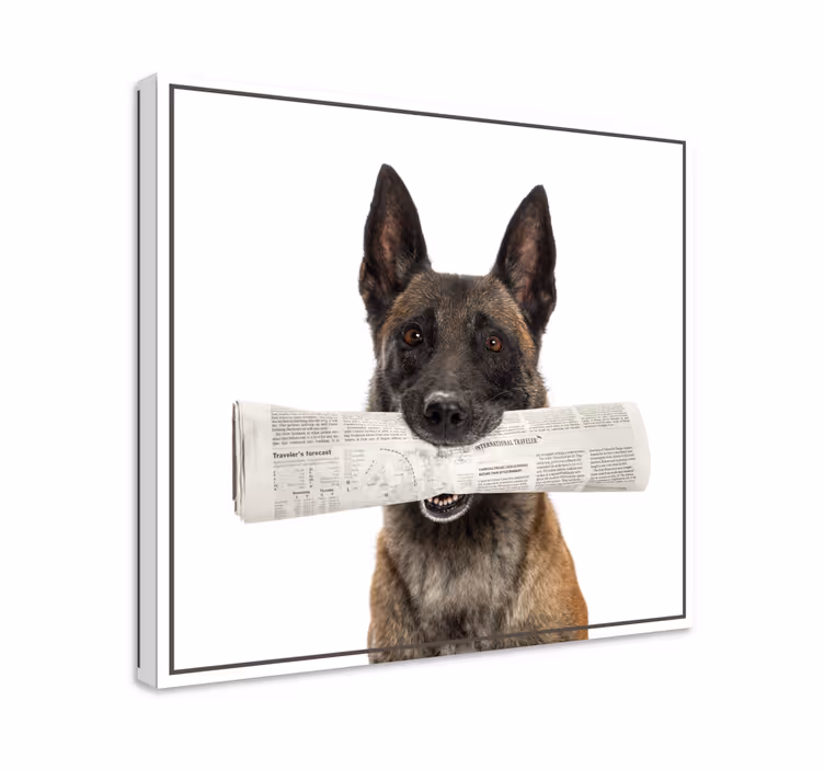 Kutya újság kutyavászon nyomatokkal - TenStickers