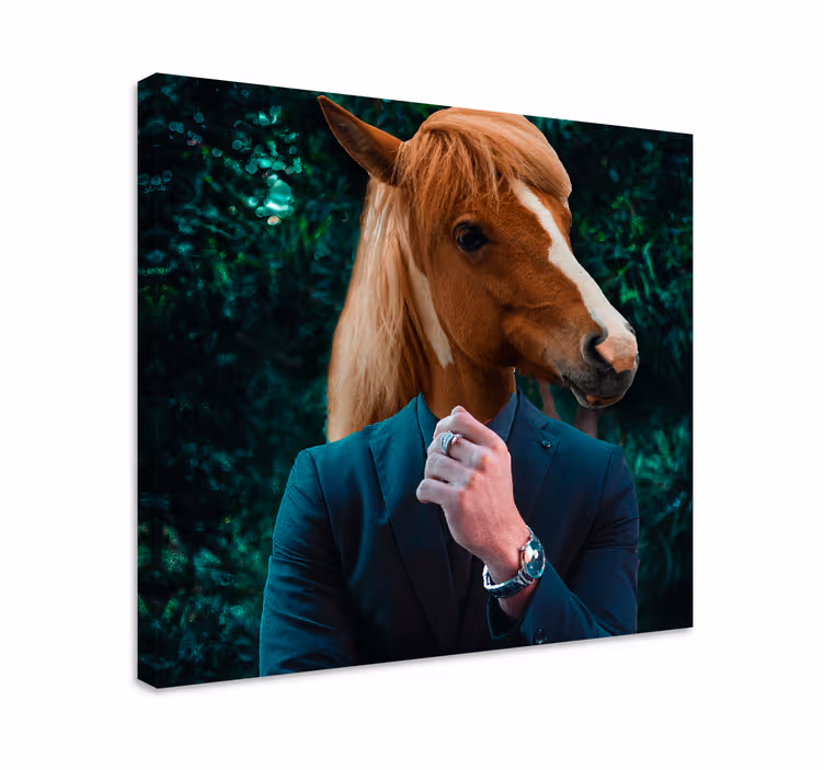 Mister ló állat vászonnyomatok - TenStickers