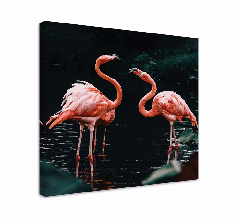 Flamingók a naplementében táblázatok madár - TenStickers