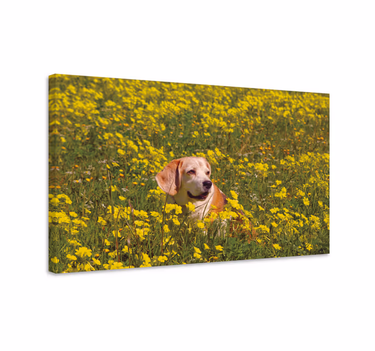 Kutya szóló virág virágvászon - TenStickers