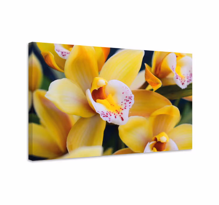 Vibráló orchidea virágok vászon virágok és növények - TenStickers