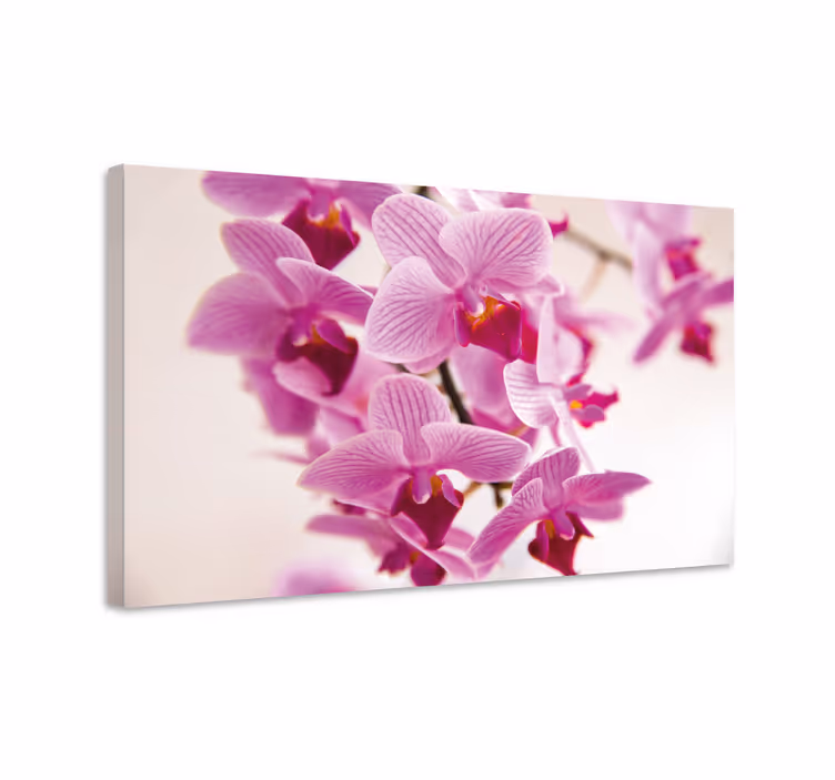 Ragyogó orchidea virág vászon - TenStickers