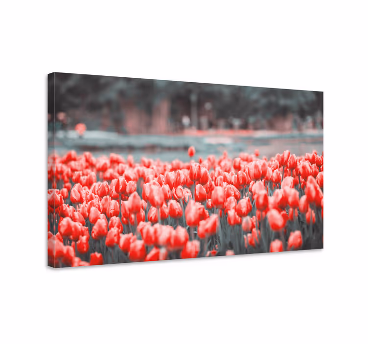Vibráló tulipánmező vászon virágok és növények - TenStickers