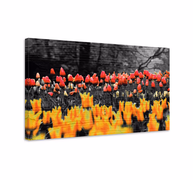 Színes tulipán kert vászon virágok és növények - TenStickers