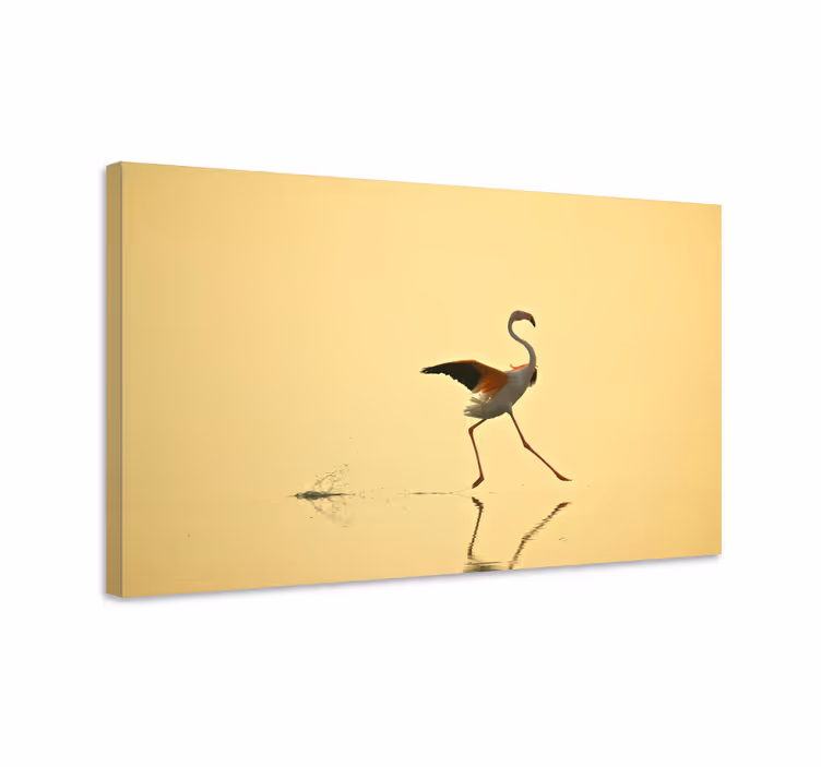 Elegáns flamingó tánc táblázatok madár - TenStickers