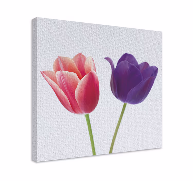 Lila és rózsaszín tulipán virágvászon - TenStickers