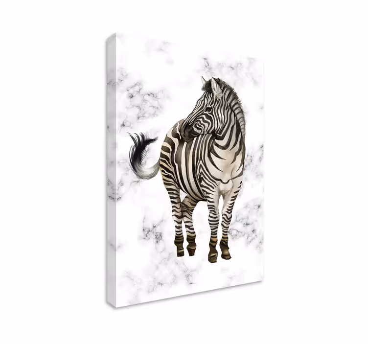 Zebra elegancia vászon állatok - TenStickers