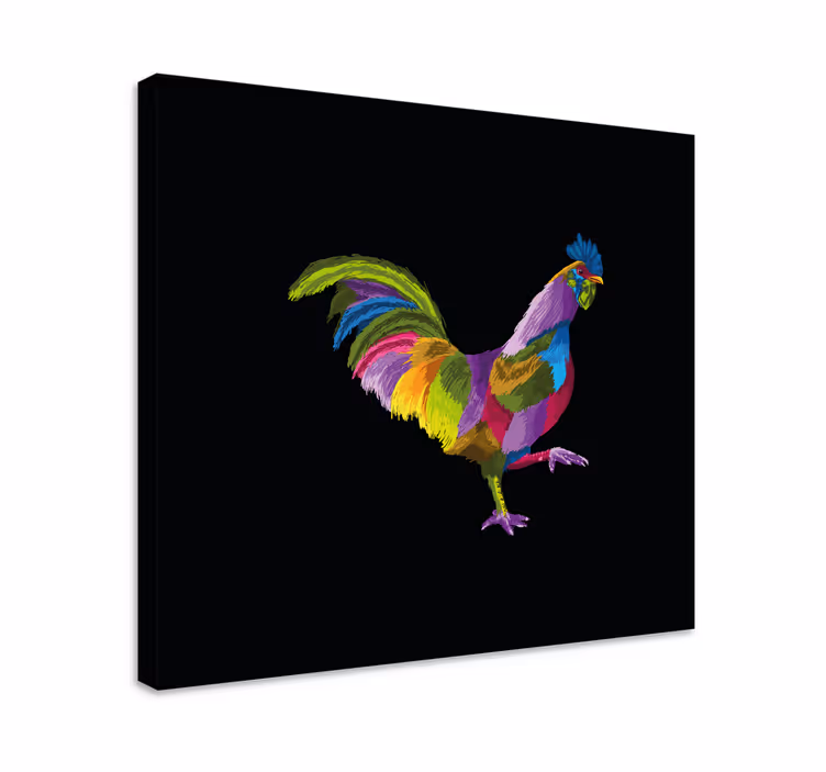 Színes kakas design táblázatok Madár - TenStickers