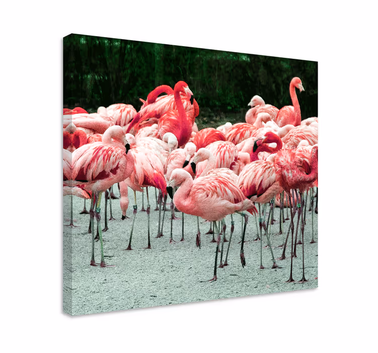 Flamingó csapat táblázatok madár - TenStickers