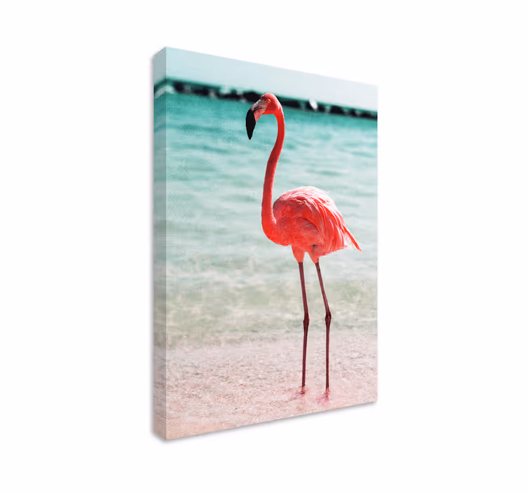 Elegáns flamingó tartás táblázatok madár - TenStickers