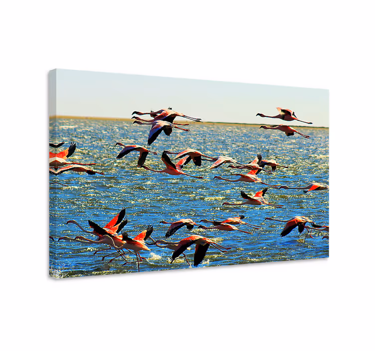 Flamingók a légies táncban - táblázatok madár - TenStickers