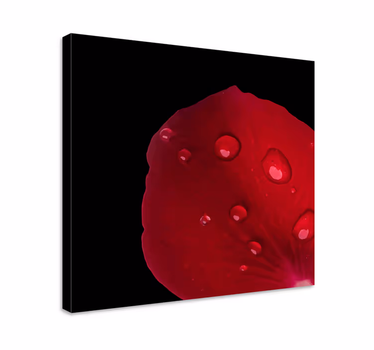 Rózsaszirom részletek vászon virágok és növények - TenStickers