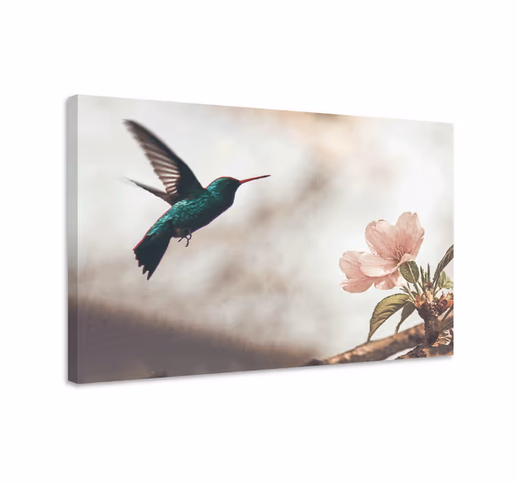 Kolibri és virágok - táblázatok madár - TenStickers