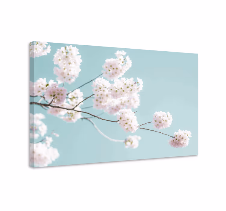 Sakura virágzó szár vászon virágok és növények - TenStickers