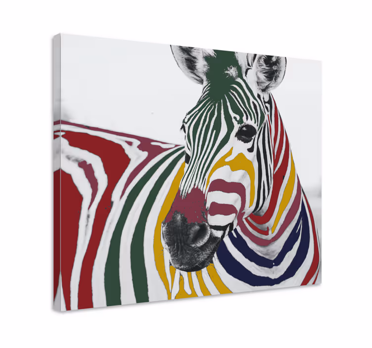 Színes zebra festmény művészet modern vászon - TenStickers