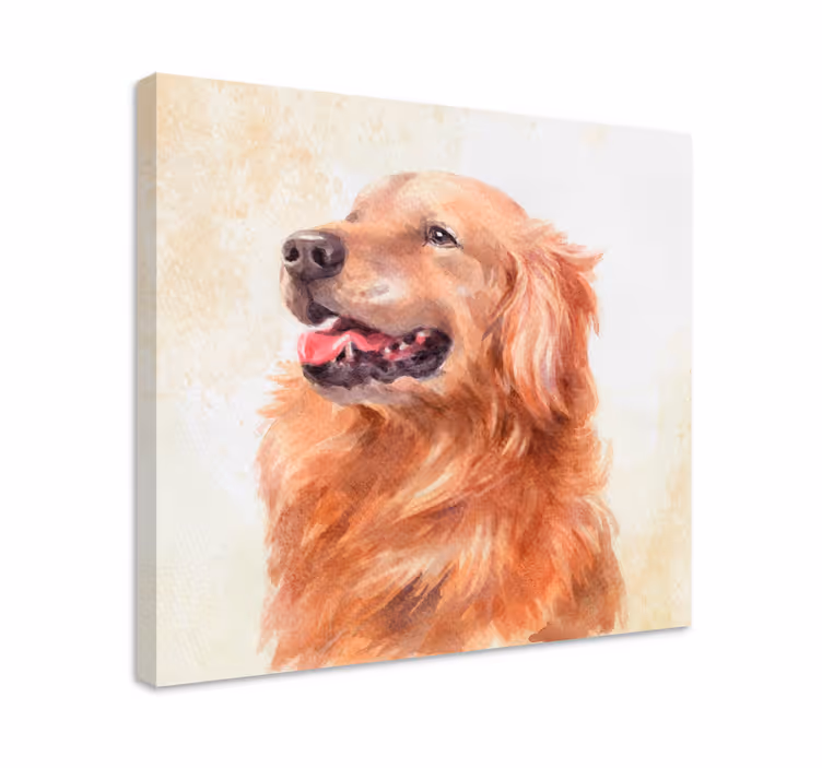 Golden retriever illusztrációk táblázatok kutyákhoz - TenStickers