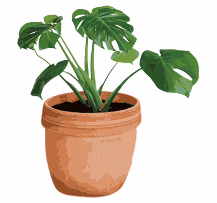 Egyszerű monstera cserép vinil szőnyeg virágok és növények - TenStickers