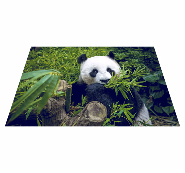 Panda árnyékos vinil szőnyeg zöld - TenStickers