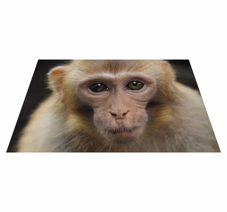 Bébi majom arc vinil szőnyeg állat - TenStickers