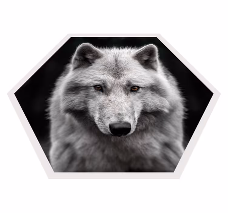 Alfa farkas fekete állati szőnyegen - TenStickers