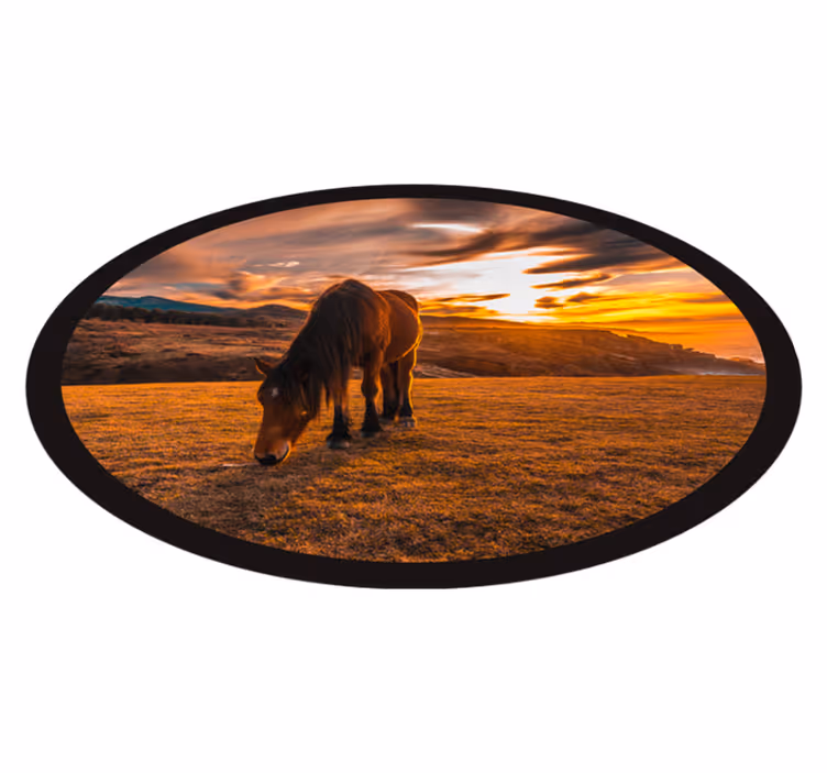 Naplemente ló gyönyörű állat szőnyeg - TenStickers