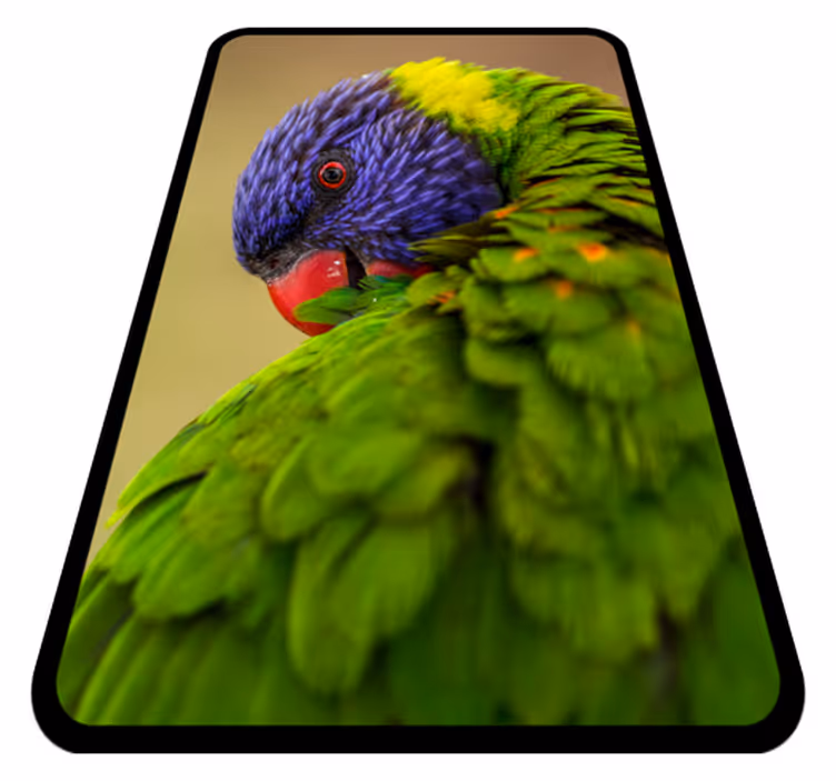 Szivárványos papagáj állati szőnyeg - TenStickers