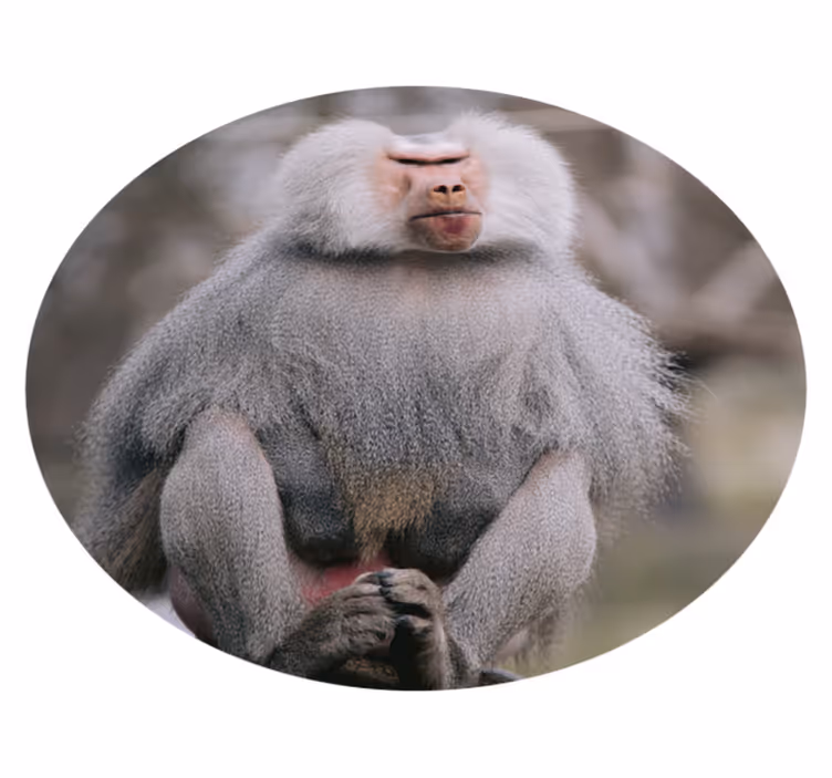 állati klassz majom bakelit szőnyeg - TenStickers
