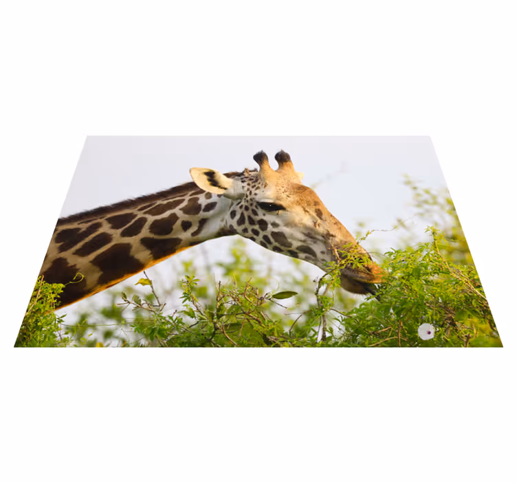 Zsiráf zöldségeket eszik vinil szőnyeg állat - TenStickers