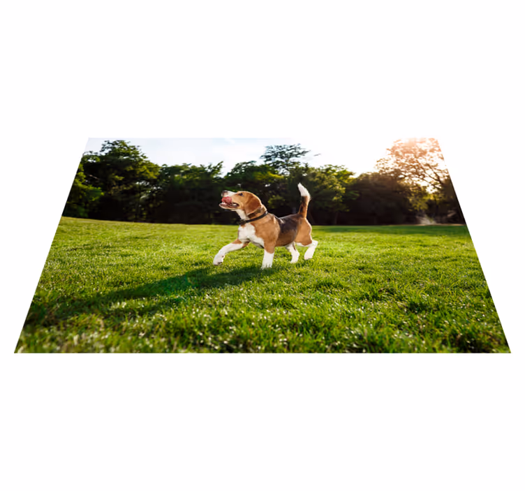 Boldog beagle fut vinil szőnyeg állat - TenStickers