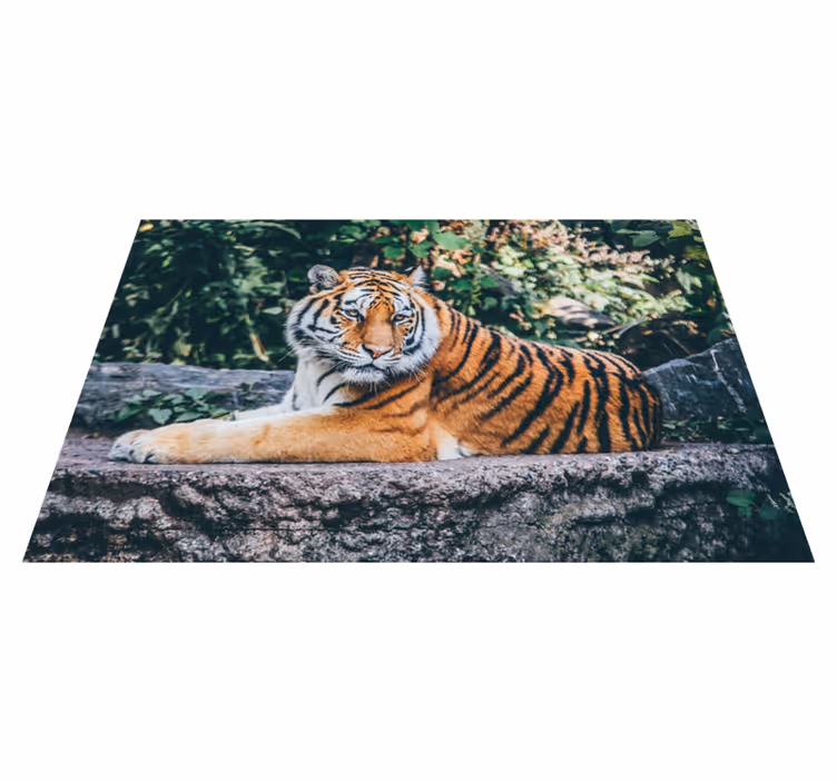 állati fenséges tigris vinil szőnyeg - TenStickers