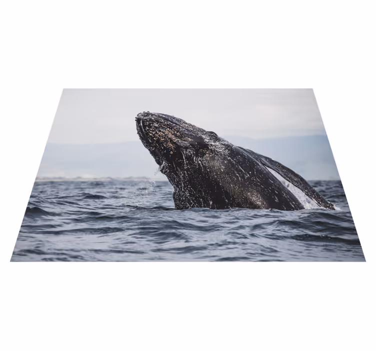 állati bálna a tengeri állati szőnyegben - TenStickers