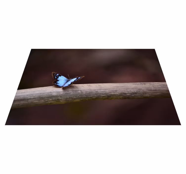 Pillangó az ágon vinil szőnyeg természet - TenStickers