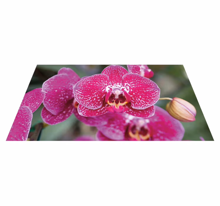 Lila orchidea vértes virágos szőnyeg - TenStickers