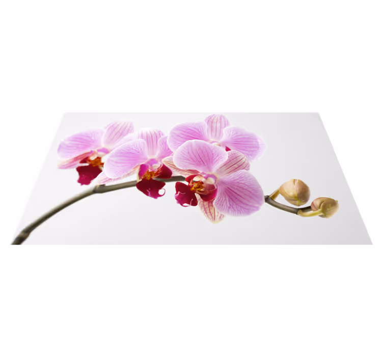 Rózsaszín orchidea minta vinil szőnyeg virágok és növények - TenStickers