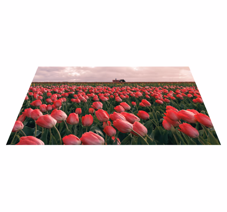élénk tulipánmező vinil szőnyeg természet - TenStickers