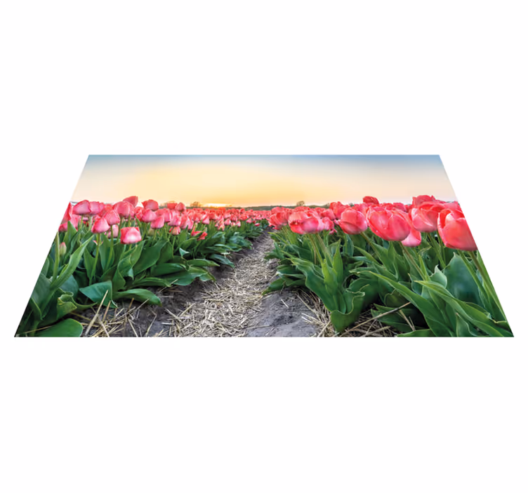 Rózsaszín zöld tulipán mező virágos vinil szőnyeg - TenStickers