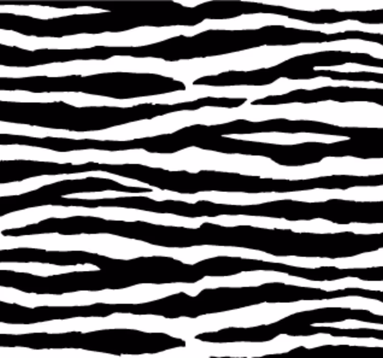 Zebra csíkos állati tapéta - TenStickers