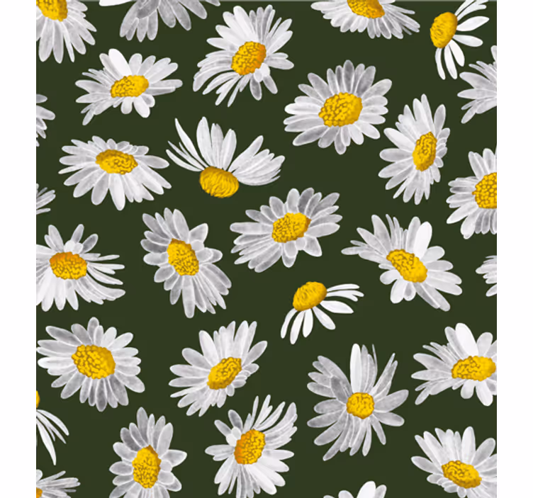 Daisies mező - tapéta természet - TenStickers
