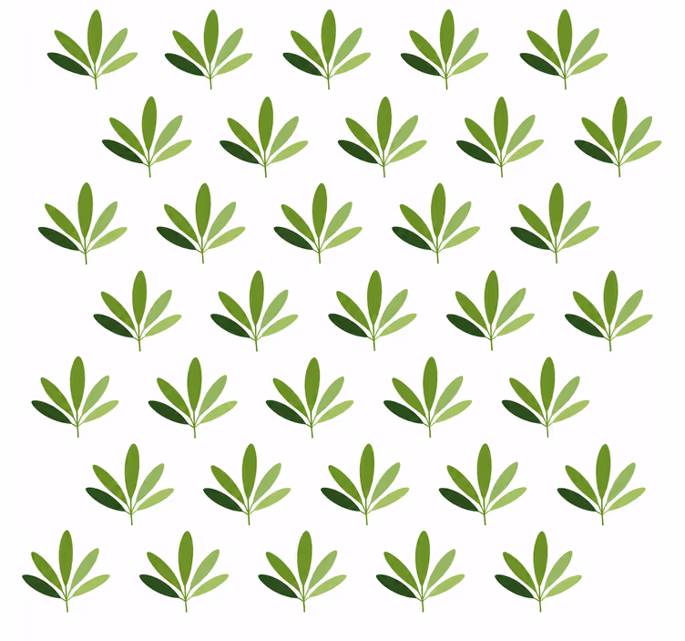 Édes pálma tapéta levelek - TenStickers