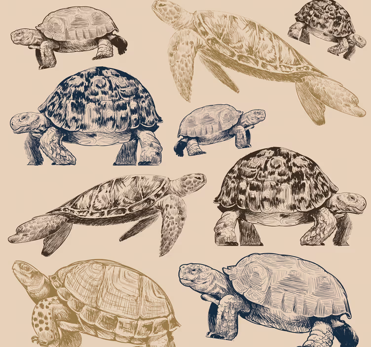 Teknősök bézs háttér állati tapéta - TenStickers