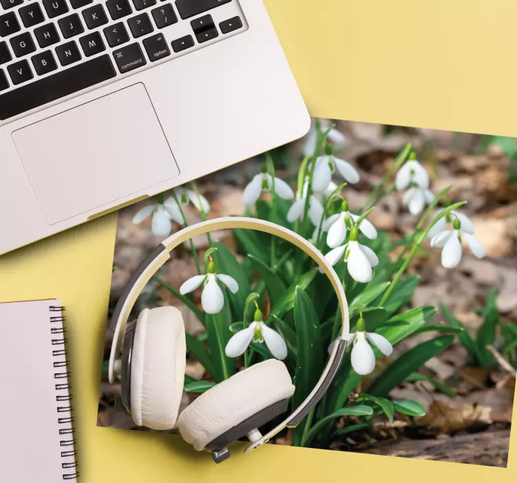 Hóvirág erdő táj több egérpad - TenStickers