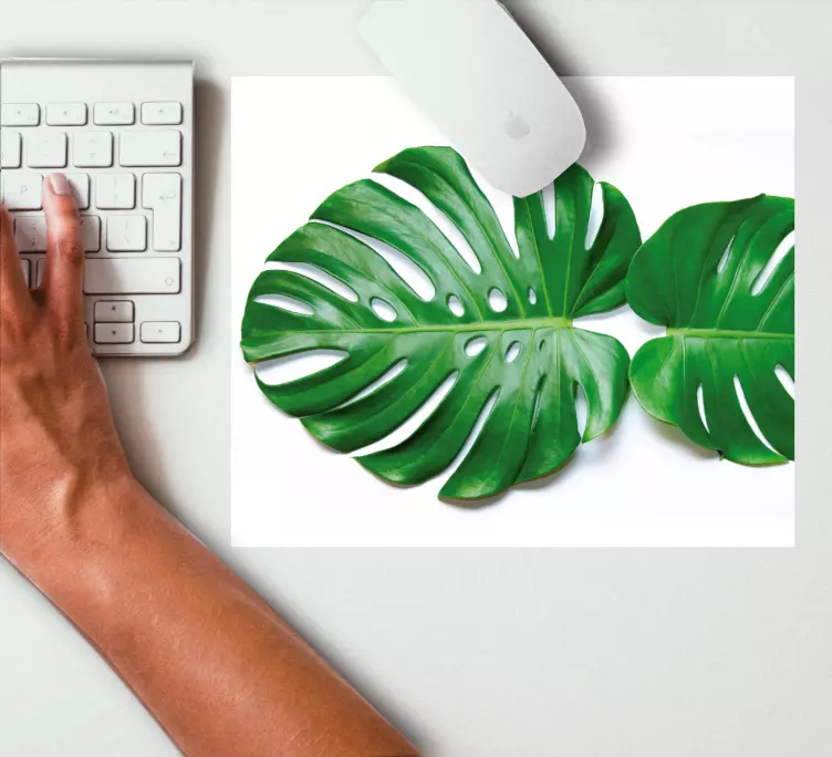 Reális monstera több egérpad - TenStickers