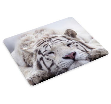 Pihenő fehér tigris több egérpárna - TenStickers